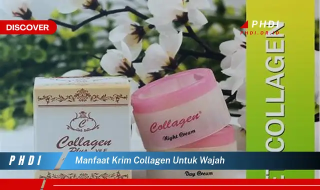 manfaat krim collagen untuk wajah