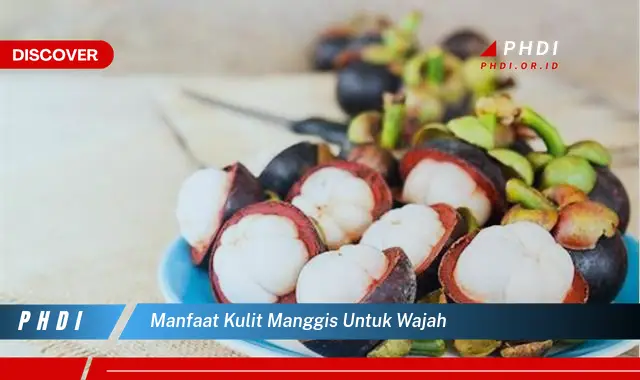 manfaat kulit manggis untuk wajah