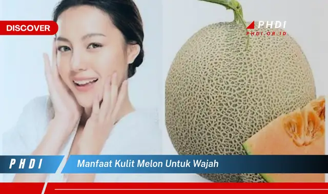 manfaat kulit melon untuk wajah