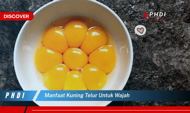 manfaat kuning telur untuk wajah