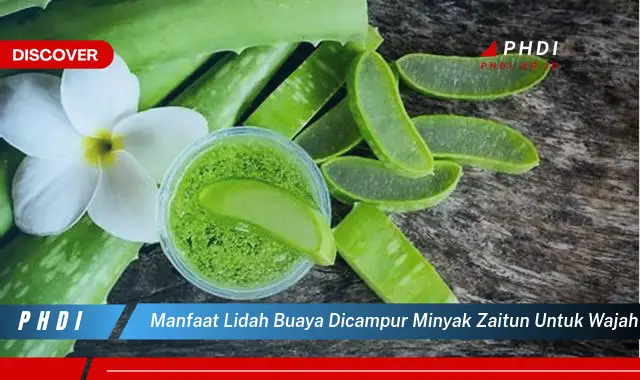 manfaat lidah buaya dicampur minyak zaitun untuk wajah