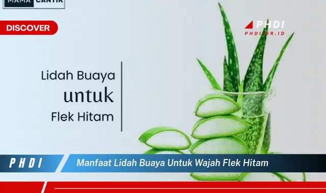 manfaat lidah buaya untuk wajah flek hitam