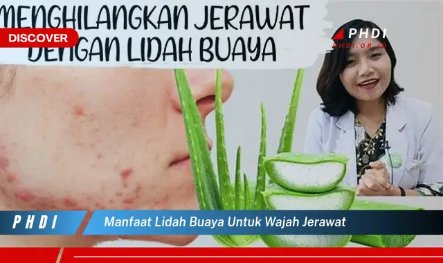 manfaat lidah buaya untuk wajah jerawat