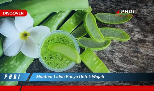 manfaat lidah buaya untuk wajah