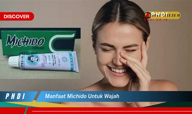 manfaat michido untuk wajah