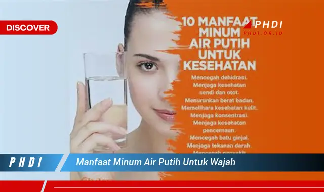 manfaat minum air putih untuk wajah