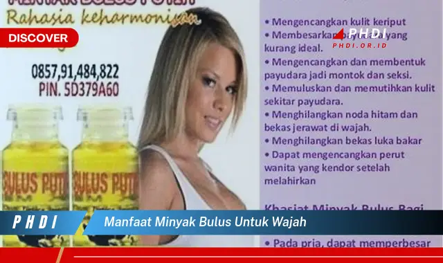 manfaat minyak bulus untuk wajah