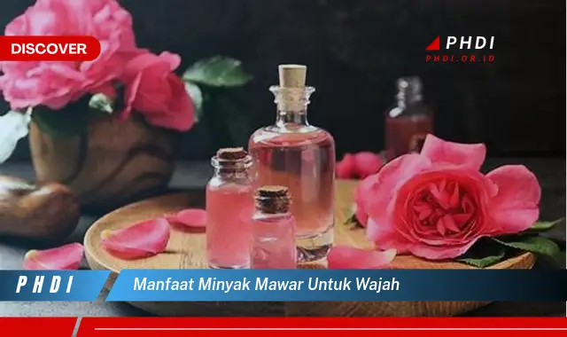 manfaat minyak mawar untuk wajah