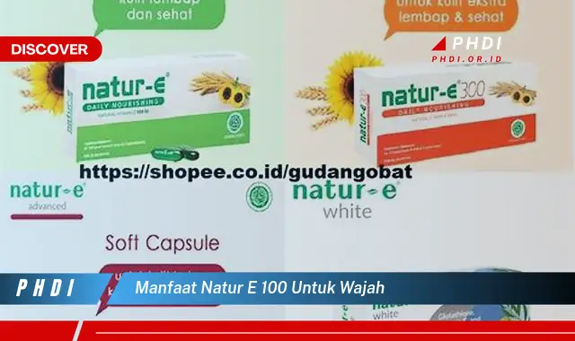 manfaat natur e 100 untuk wajah