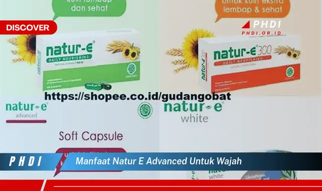 manfaat natur e advanced untuk wajah