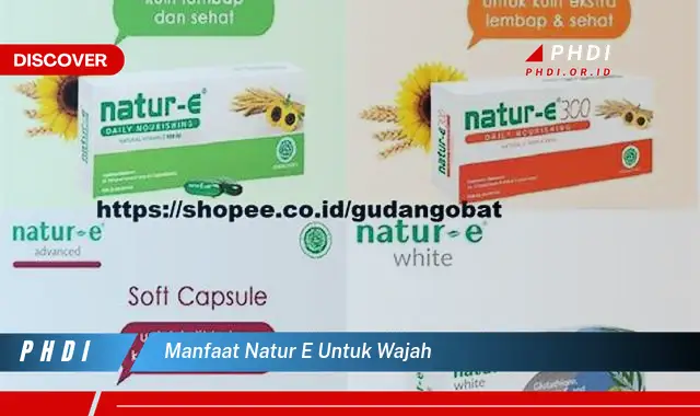 manfaat natur e untuk wajah