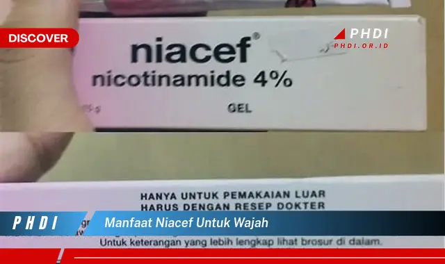 manfaat niacef untuk wajah