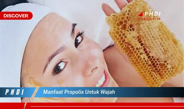 manfaat propolis untuk wajah