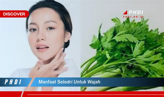 manfaat seledri untuk wajah