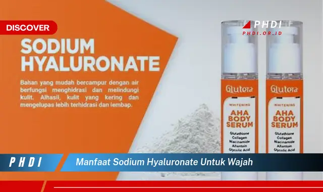 manfaat sodium hyaluronate untuk wajah