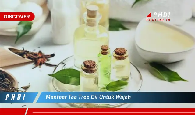 manfaat tea tree oil untuk wajah