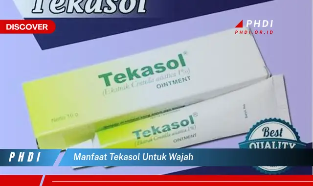 manfaat tekasol untuk wajah