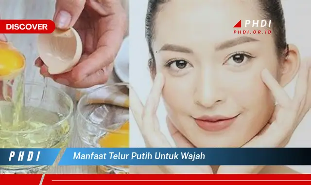 manfaat telur putih untuk wajah