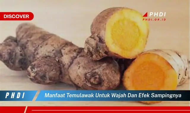 manfaat temulawak untuk wajah dan efek sampingnya