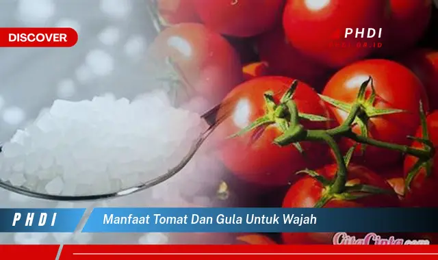 manfaat tomat dan gula untuk wajah