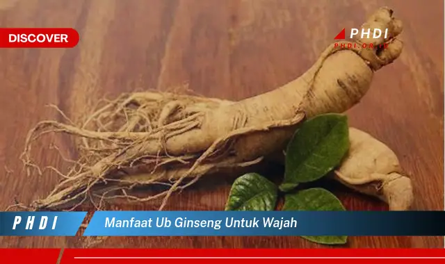 manfaat ub ginseng untuk wajah