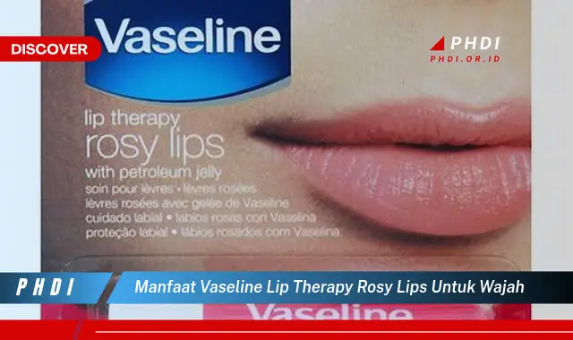 manfaat vaseline lip therapy rosy lips untuk wajah