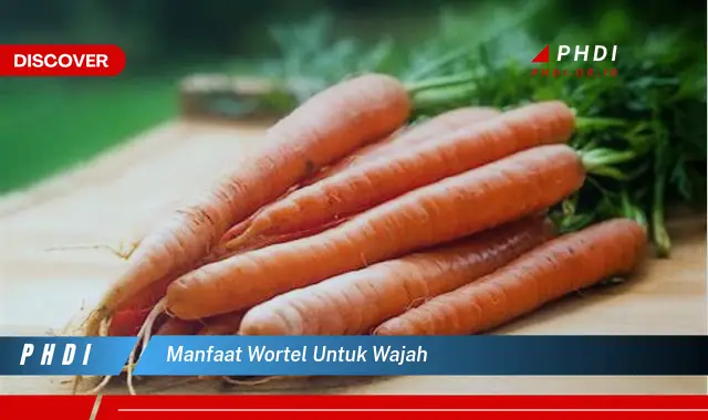 manfaat wortel untuk wajah