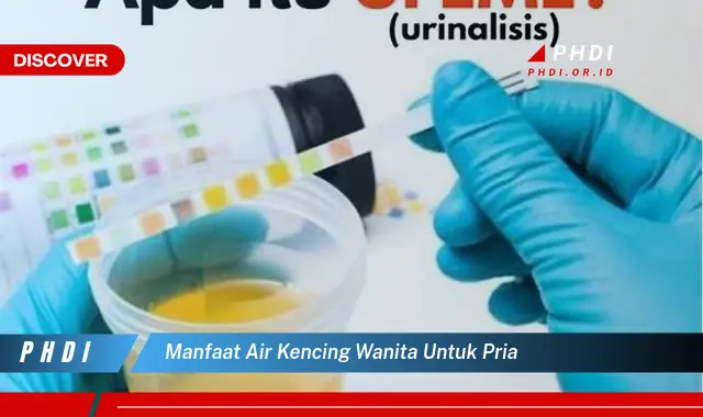 manfaat air kencing wanita untuk pria