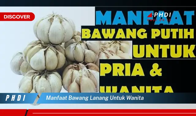 manfaat bawang lanang untuk wanita