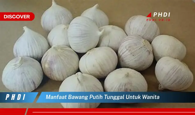 manfaat bawang putih tunggal untuk wanita