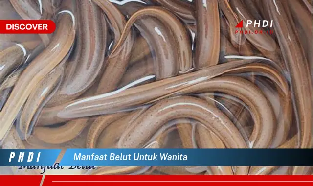 manfaat belut untuk wanita