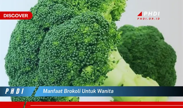 Ketahui Manfaat Brokoli untuk Wanita yang Jarang Diketahui