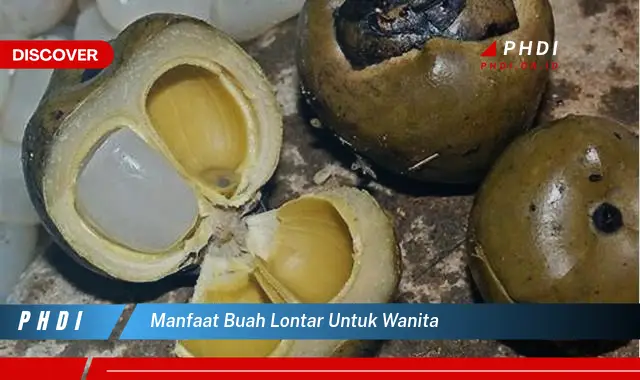 manfaat buah lontar untuk wanita