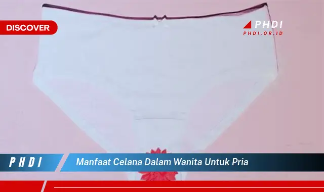 manfaat celana dalam wanita untuk pria