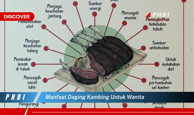 manfaat daging kambing untuk wanita