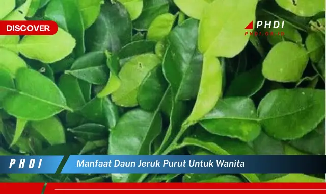 manfaat daun jeruk purut untuk wanita