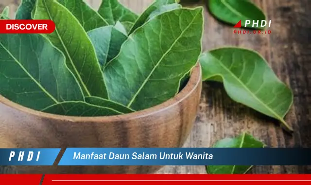 manfaat daun salam untuk wanita