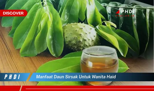 manfaat daun sirsak untuk wanita haid