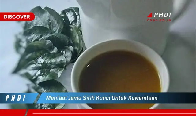 manfaat jamu sirih kunci untuk kewanitaan