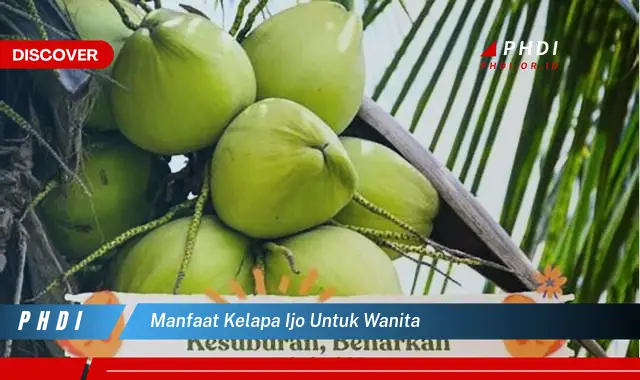 manfaat kelapa ijo untuk wanita