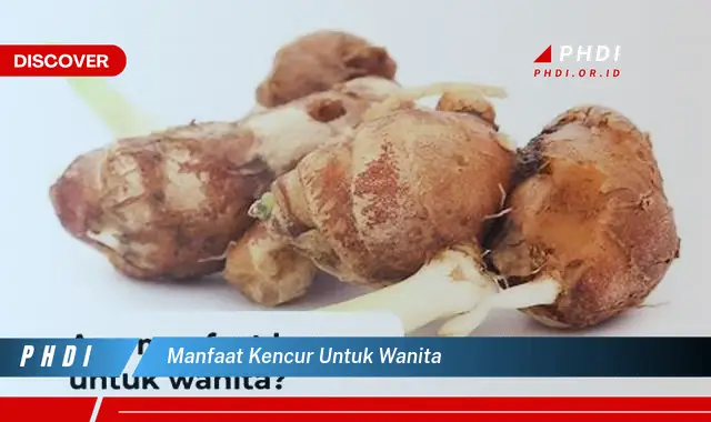 manfaat kencur untuk wanita