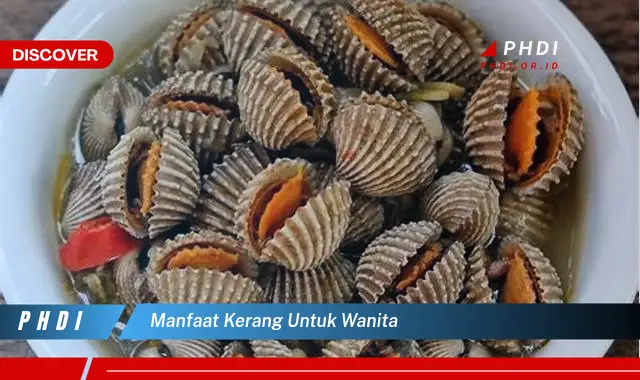 manfaat kerang untuk wanita