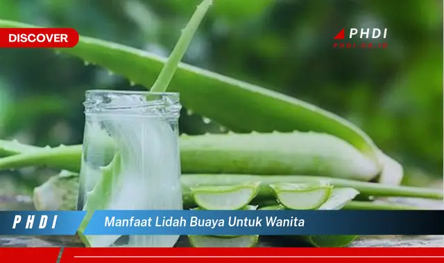 manfaat lidah buaya untuk wanita