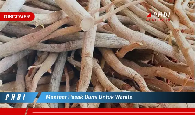 manfaat pasak bumi untuk wanita