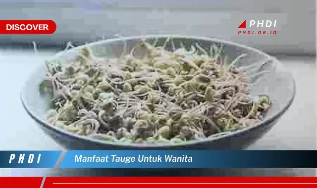 manfaat tauge untuk wanita