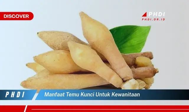 manfaat temu kunci untuk kewanitaan