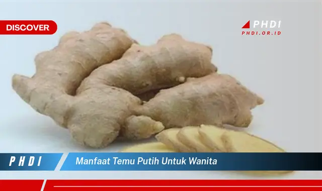 manfaat temu putih untuk wanita