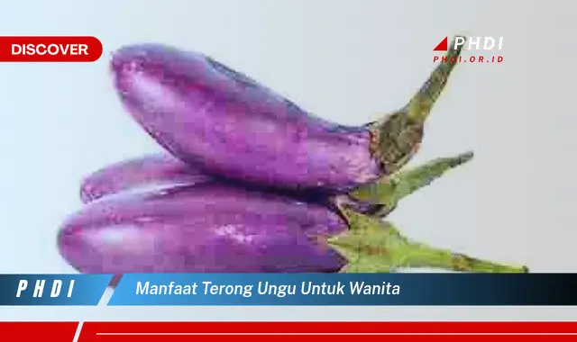 manfaat terong ungu untuk wanita