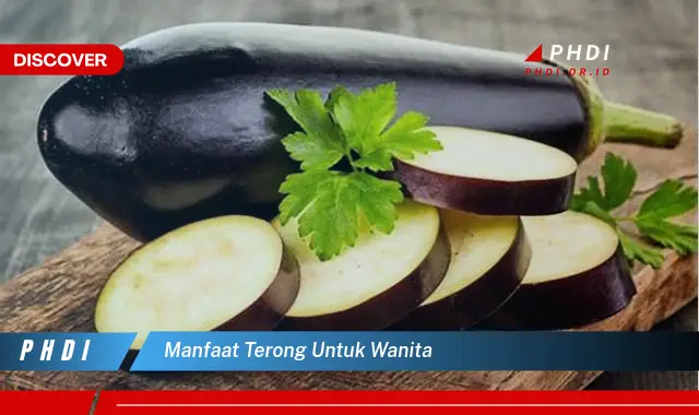 Temukan Manfaat Terong Untuk Wanita Yang Jarang Diketahui