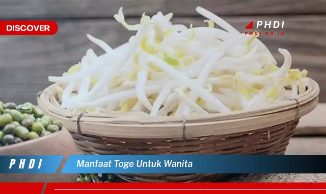 manfaat toge untuk wanita